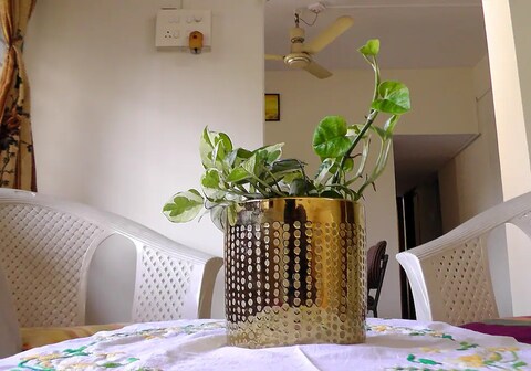 3 BHK Furnished Apartment Hosted by Bollywood Celeb