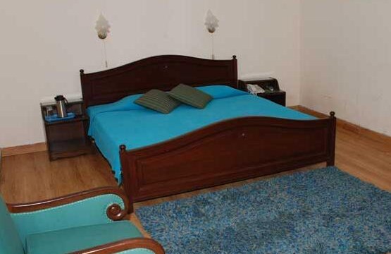 alasia-hotel-solan-interiror
