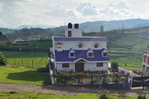 West Hill Daffodils Inn | Entire Homestay