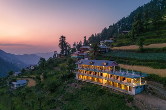 Moustache Shoja, Jibhi