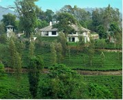 Parisons Plantation Experiences Talapoya Bungalow, Wayanad Parisons Plantation Experiences Talapoya Bungalow, Wayanad