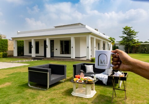 Tulip Grove by The Gardenias