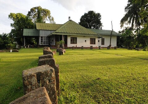 Kaliabor Manor Resort