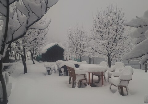 Paradise Camping Apple Orchard Manikaran