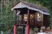 Jungle greens homestay, Chikmagalur Jungle greens homestay, Chikmagalur