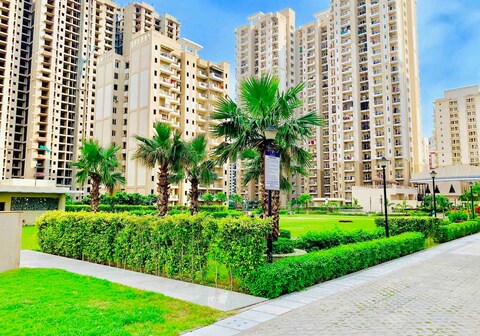 The Balboa by Richa's Home