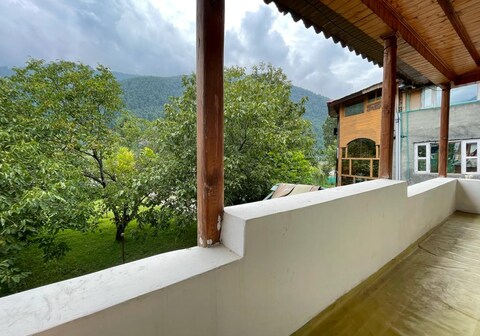 Walnut Tree Pahalgam