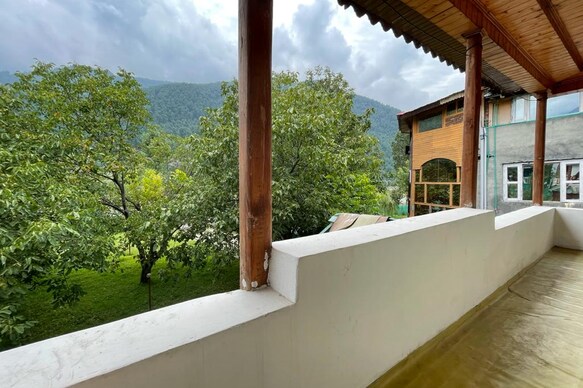 Walnut Tree Pahalgam