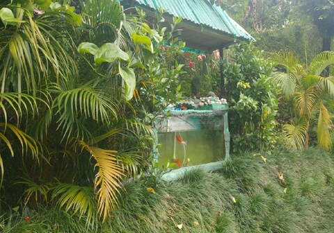 Sahyog Homestay & Farm