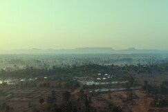 Tree of Life Ramvilas, Bandhavgarh, Bandhavgarh Tree of Life Ramvilas, Bandhavgarh, Bandhavgarh