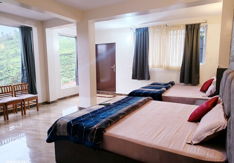 Aimans Brezzy Paradise