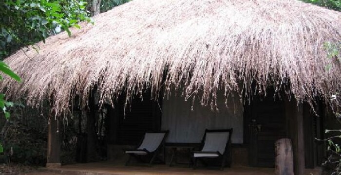 Wildernest Nature Resort Wildernest Nature Resort