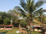 Teak hill frams, Karjat Teak hill frams, Karjat