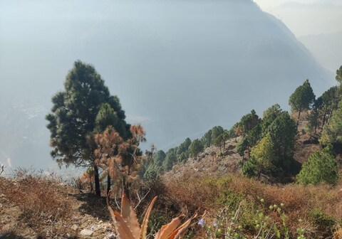 RCM Hill View Homestay