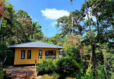 Glendale Stream View Cottages