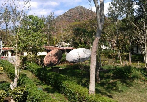 The Monarch Safari Park