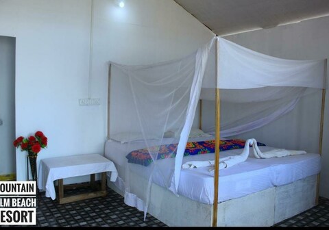 Mountain Palm Patnem Beach