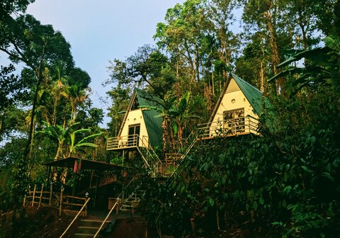 Coorgology - The estate Villa, Coorg