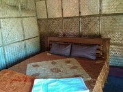 Olivia Jungle Stay, Coorg Olivia Jungle Stay, Coorg