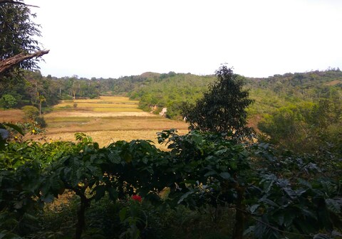 Magnolia Mist Homestay