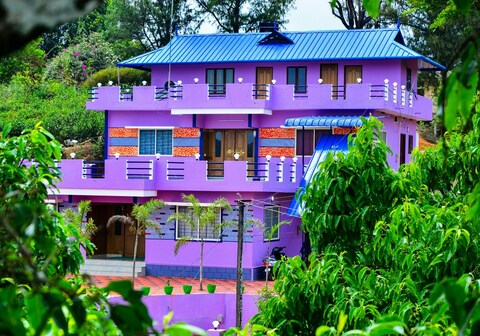 MOUNT VIEW HOLIDAYS