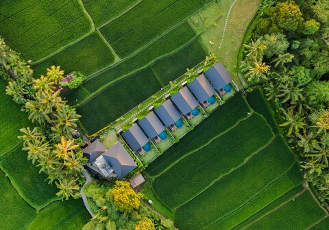 Ascarya Ubud