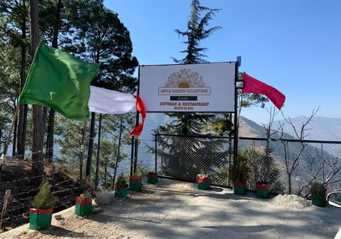 Apple Garden Goldstone Exotic