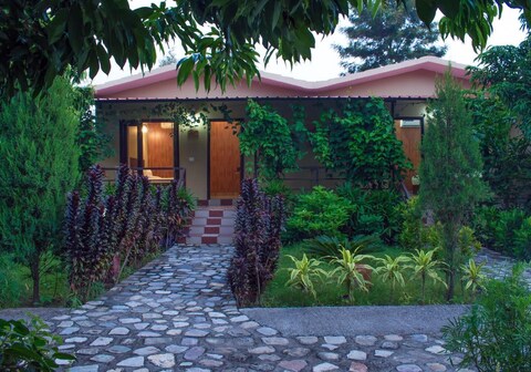 Corbett Tigers n Trees