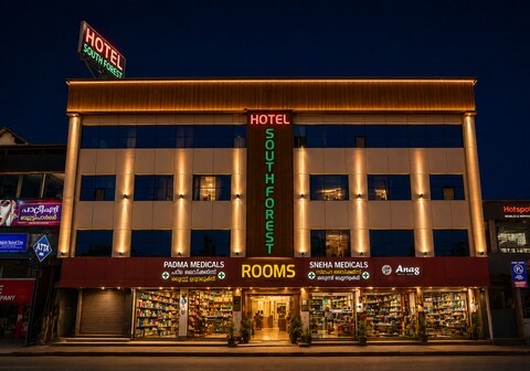 Hotel South Forest