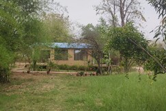 Bananchal Farm Jamunara Taala, Bandhavgarh Bananchal Farm Jamunara Taala, Bandhavgarh