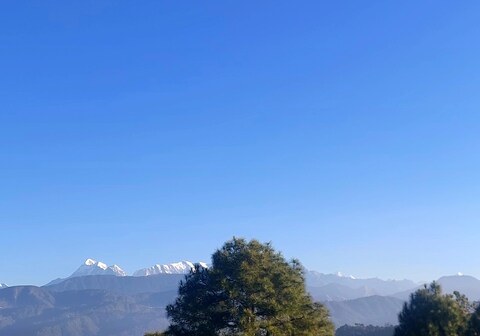 Aaranyam The Whispering Oaks