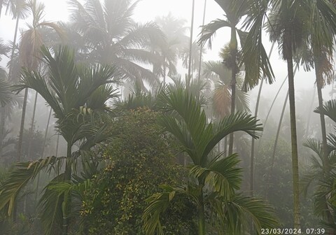 ARECA FARM VILLA REVDANDA