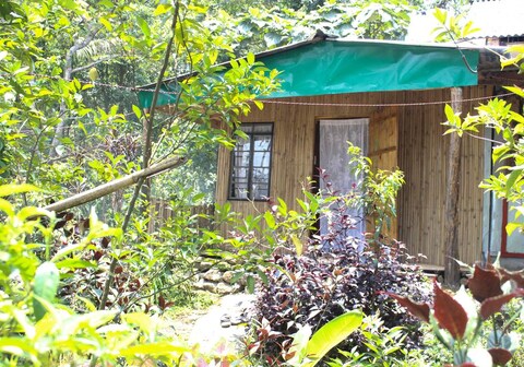 Pumpkin Kharmawshun Homestay