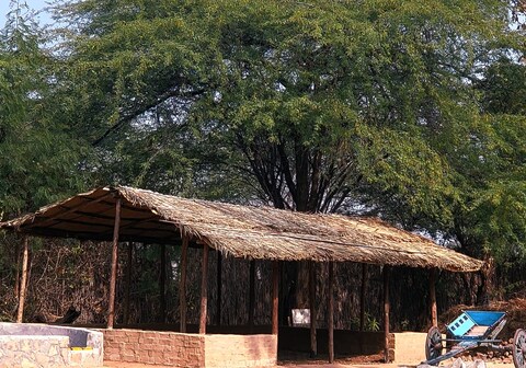 AARANY JUNGLE RESORT AND ADVENTURE