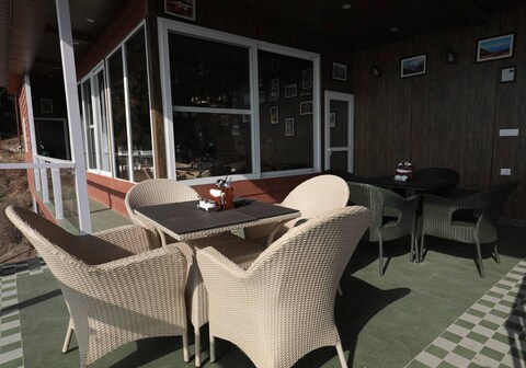 Fir By Whistling Woods