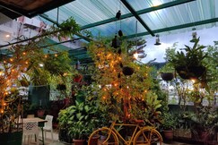 The Nook Rooftop Condo and Garden, Guwahati The Nook Rooftop Condo and Garden, Guwahati