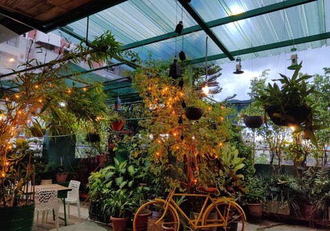 The Nook Rooftop Condo and Garden