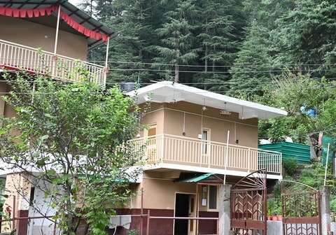 The Cedar