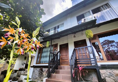 Casino Palace Plantation Rooms