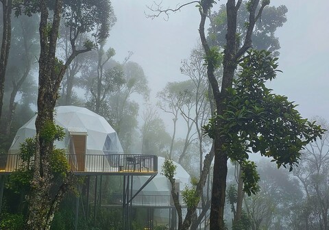 Willmount Resort | Premier Luxury Nature Glamps In The Western Ghats