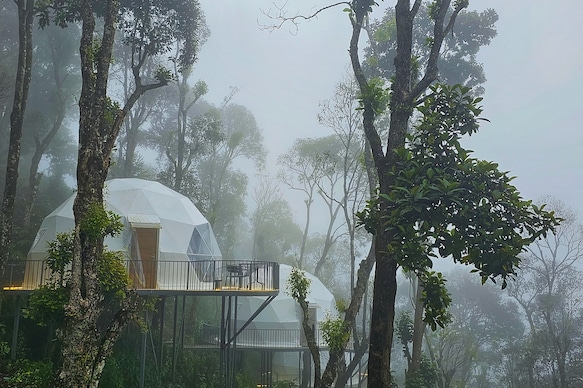 Willmount Resort | Premier Luxury Nature Glamps In The Western Ghats