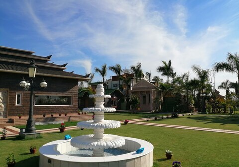 Mann The Palm Retreat