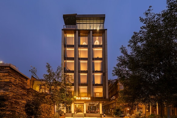 DLS Hotels Amritsar (200 Steps to The Golden Temple)