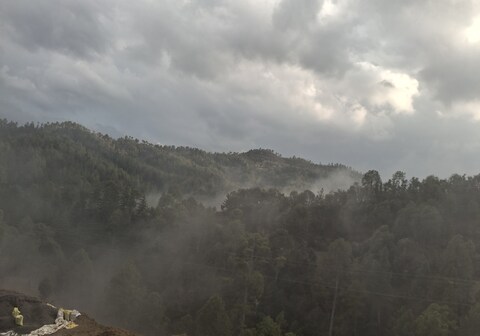 The beauty of nature Homestay