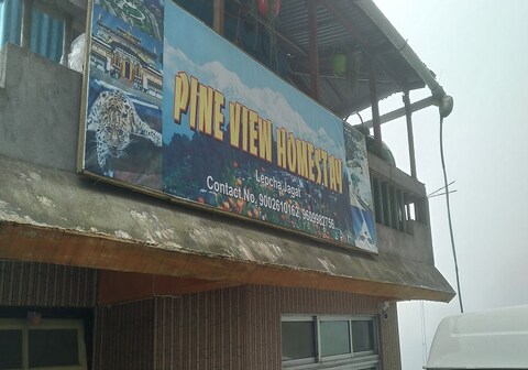 Pine view homestay