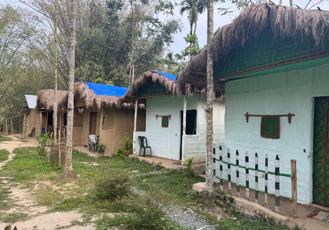 Tranquil Bambusic Bliss