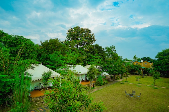 Ranthambhore Bagh Dwar Camp | Tents & Rooms