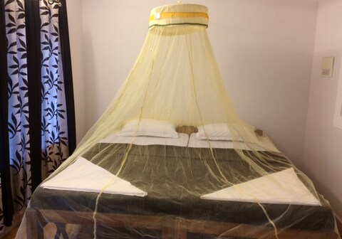 Organic Villa | Rooms & Wi-Fi