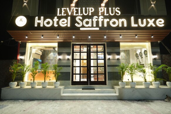 Levelup Plus Saffron Luxe
