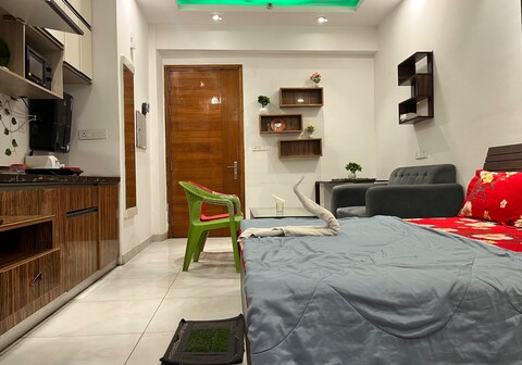 Royal orbit studio 519